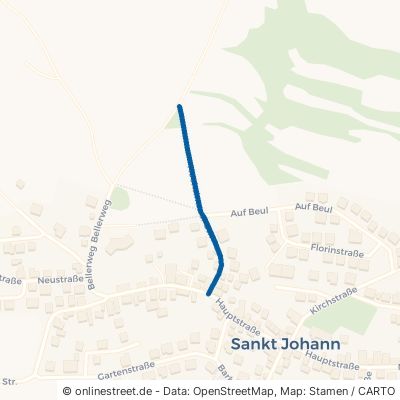 Hochsimmer Straße 56727 Sankt Johann SaintJohann 