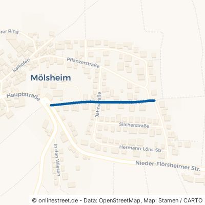 Am Heckel Mölsheim 
