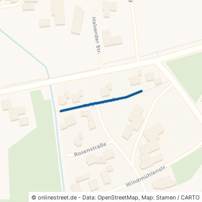 Tulpenstraße 48496 Hopsten 