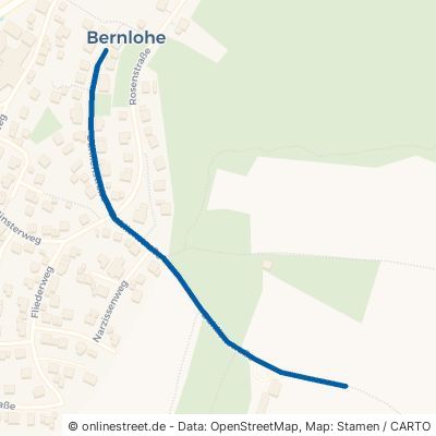 Dahlienstraße Roth Bernlohe 