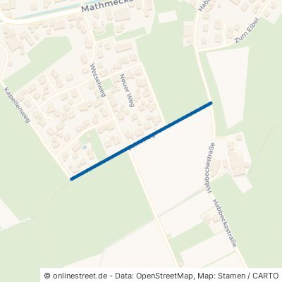 Darreweg Eslohe (Sauerland) Wenholthausen 