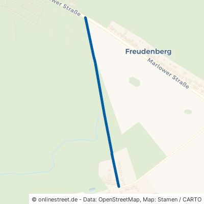Waldschneise Ribnitz-Damgarten Freudenberg 