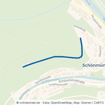 Sommerbergweg Baiersbronn Schönmünzach 