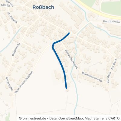 Brunnenstraße 63599 Biebergemünd Roßbach 