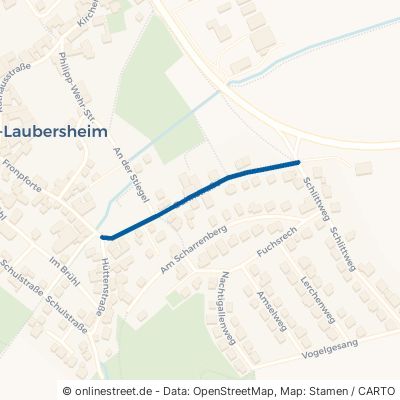 Bahnstraße Frei-Laubersheim 