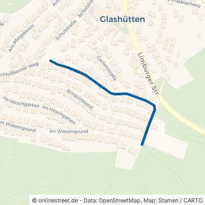 Idsteiner Weg 61479 Glashütten 