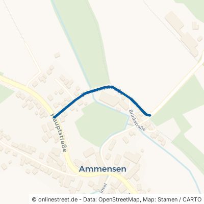 Fredener Straße Delligsen Ammensen 