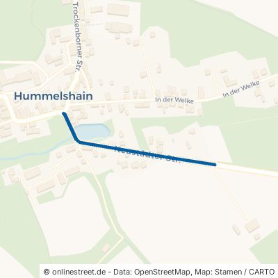 Neustädter Straße Hummelshain 