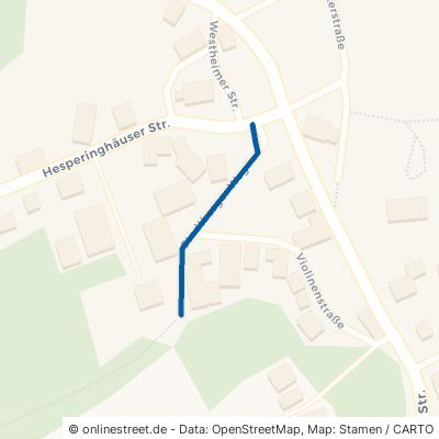 Stadtberger Weg Diemelstadt Helmighausen 