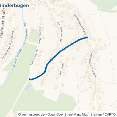 Borngasse 63654 Büdingen Rinderbügen 