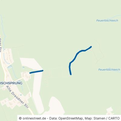 Scheibe 01773 Altenberg Hirschsprung 