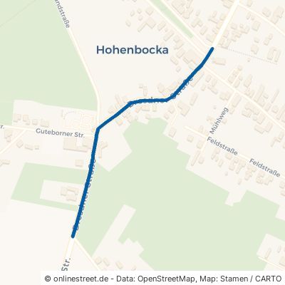 Dresdner Straße Hohenbocka 