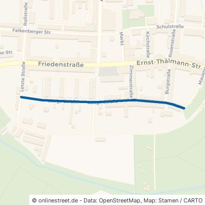 Lange Straße 17335 Strasburg (Uckermark) Strasburg 