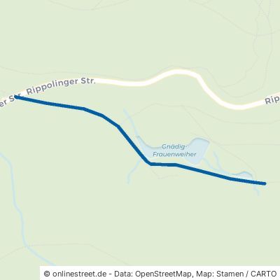 Frauenweiherweg Bad Säckingen Obersäckingen 