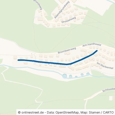 Heidelbeerweg Unterkirnach Roggenbach 
