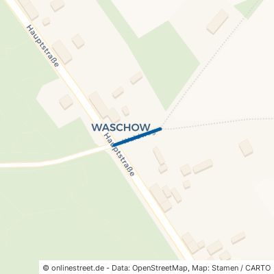 Waldweg Lassan Waschow 