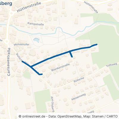 Wilhelmstraße 59939 Olsberg 