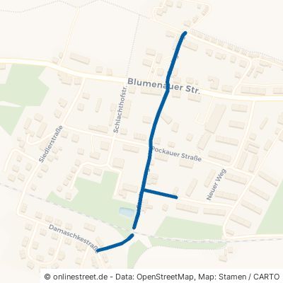 Stadtgutweg Olbernhau 