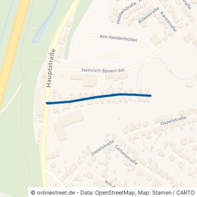Wustentalstraße Homburg Einöd 