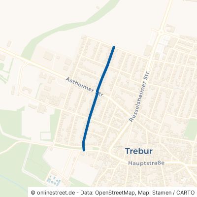 Taunusstraße 65468 Trebur 