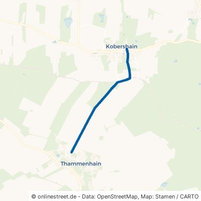Thammenhainer Straße Belgern-Schildau Kobershain 
