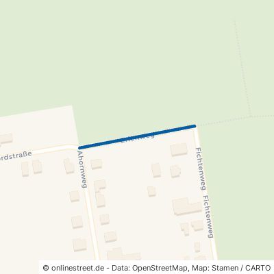 Erlenweg 02994 Bernsdorf 