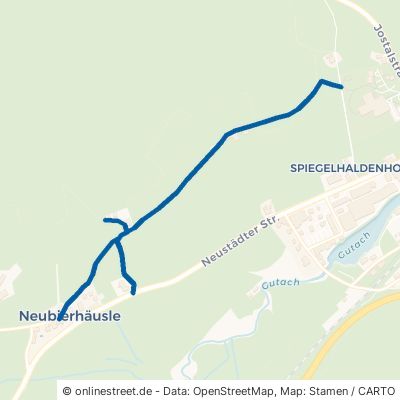 Panoramaweg Titisee-Neustadt Titisee 