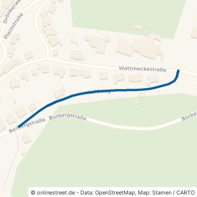 Waldweg 59939 Olsberg 