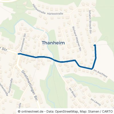 Ebersbergstraße Bisingen Thanheim 