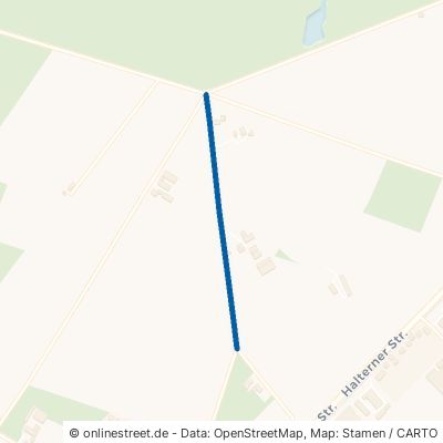 Borgplackenweg 48249 Dülmen Dülmen-Stadt 