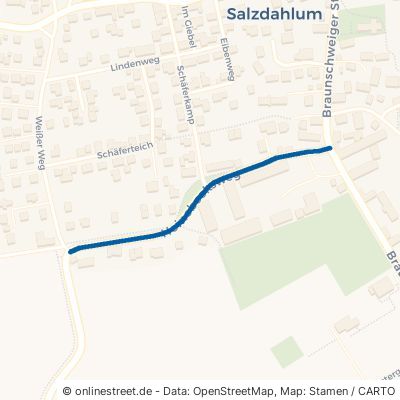 Heinebeeksweg 38302 Wolfenbüttel Salzdahlum Salzdahlum