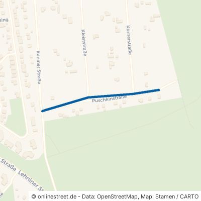 Puschkinstraße 14822 Borkwalde 