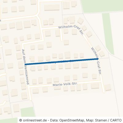 Willy-Mößle-Straße Messel 