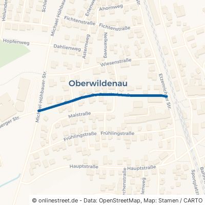 Forsthofstraße Luhe-Wildenau Oberwildenau 