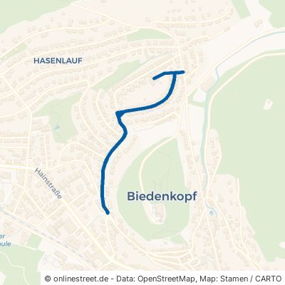 Altenstadtstraße Biedenkopf 