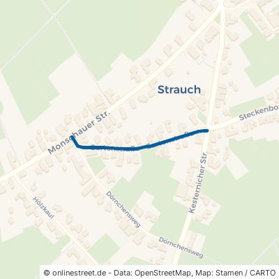 Gartenstraße Simmerath Strauch 