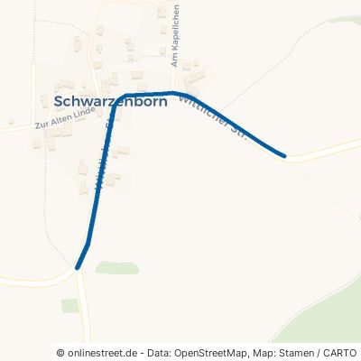 Wittlicher Straße Schwarzenborn 