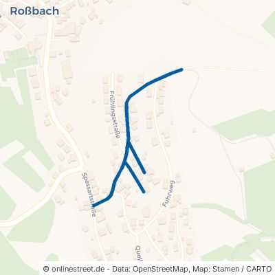 Blumenstraße Leidersbach Roßbach 