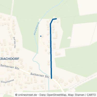 Mühlenweg Dierdorf Brückrachdorf 