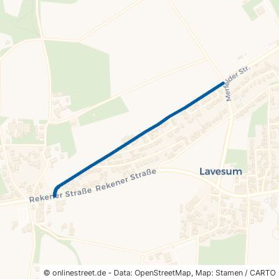 Napoleonsweg Haltern am See Lavesum 