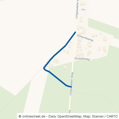 Am Walde 29386 Dedelstorf Hankensbüttel 