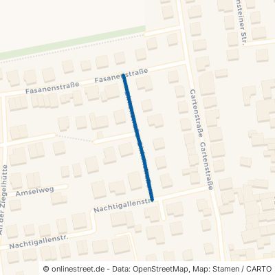 Birkenstraße 67229 Gerolsheim 