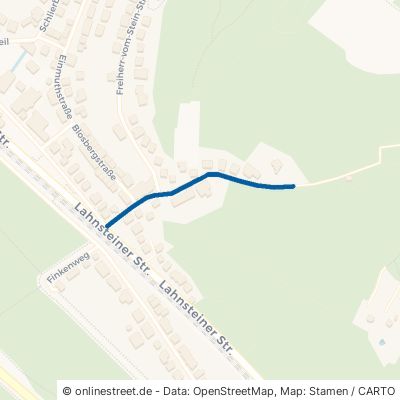 Dautenstielweg 56338 Braubach 