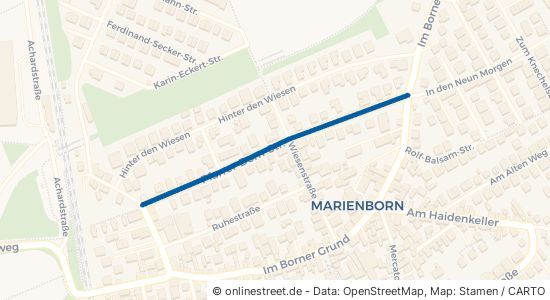 Pfarrer-Dorn-Straße 55127 Mainz Marienborn Marienborn