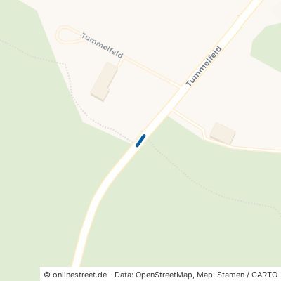 Rohrbachholz 94163 Saldenburg Hundsruck 