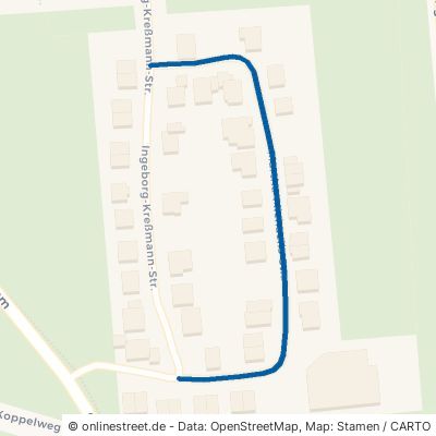 Martha-Michaelis-Straße Gifhorn 