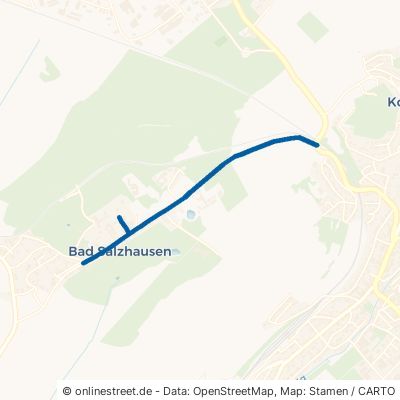 Kurstraße 63667 Nidda Bad Salzhausen 