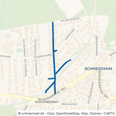 Blumenstraße Königstein im Taunus Schneidhain 
