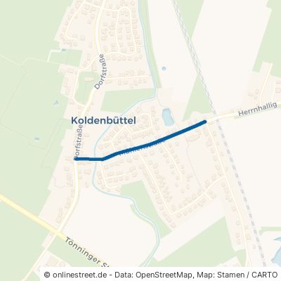 Mühlenstraße Koldenbüttel 