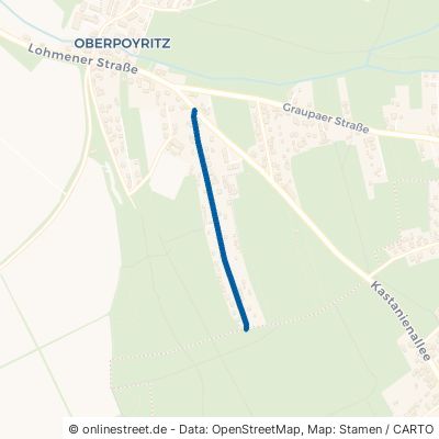 Waldweg Dresden Hosterwitz/Pillnitz 